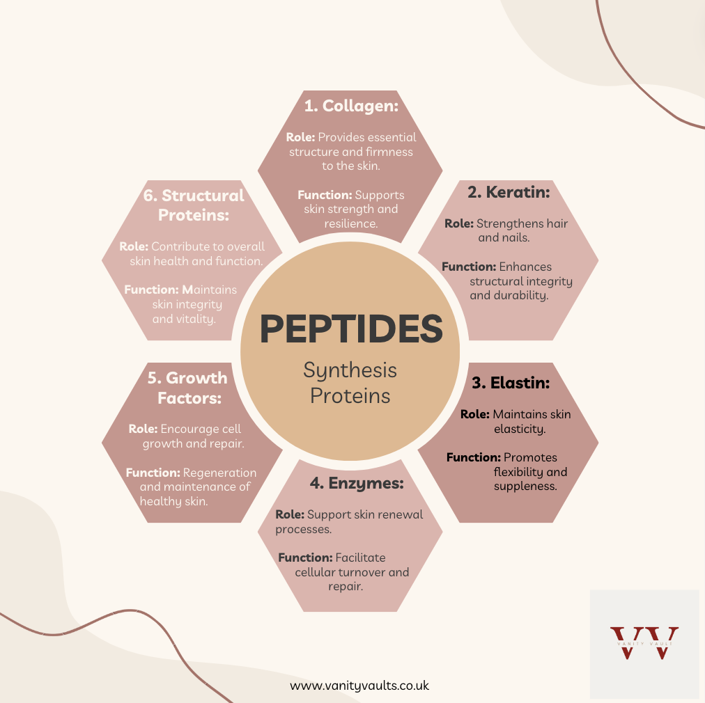 Peptides for Skincare, talking about the various proteins it synthesizes.